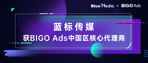 蓝标传媒成为BIGO Ads中国区核心代理商